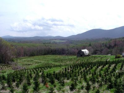 Alleghany County Carolina Farms and Homes